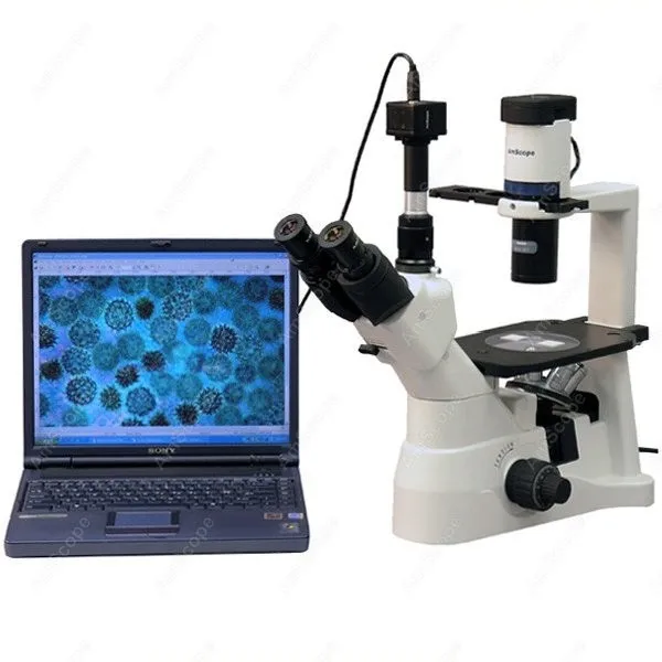 Tissue Culture Microscope--AmScope Supplies 40X-600X Infinity Phase Contrast Inverted Tissue Culture Microscope + 8MP Camera