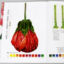 New 21style Flowers Plants Book Grundkurs Aquarellmalerei Watercolor painting tutorial art drawing books for Adults