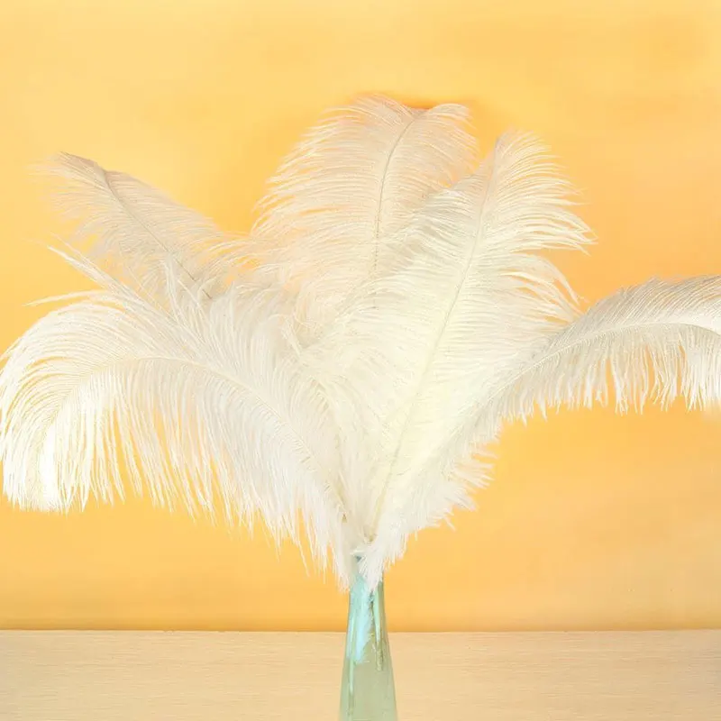 CHENGBRIGHT 100 Pcs/Lot Natural White Ostrich Feathers For Craft 15-70CM Carnival Costumes Party Home Wedding Decorations Plumes