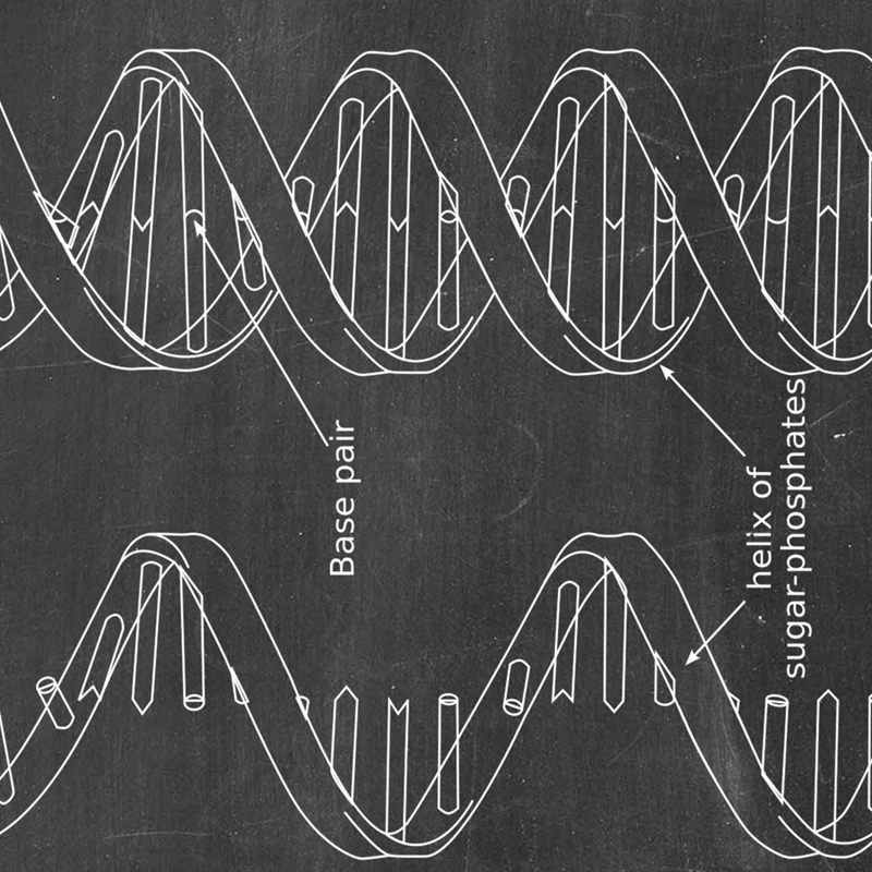 DNA Patent Wall Art Genetics Posters Print Biology Wall Decor Vintage Blueprint Prints Medical Student Gift Science Decorations view 2