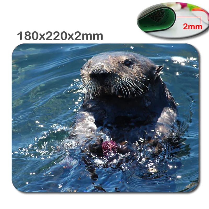 California Sea Otter Personalized Style Custom Oblong Gaming Mousepad Standard Size 220mm*180mm*2mm Mouse Pad