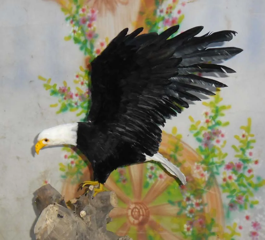 

new simulation wings eagle toy foam&feather eagle doll gift about 45x80cm 2228