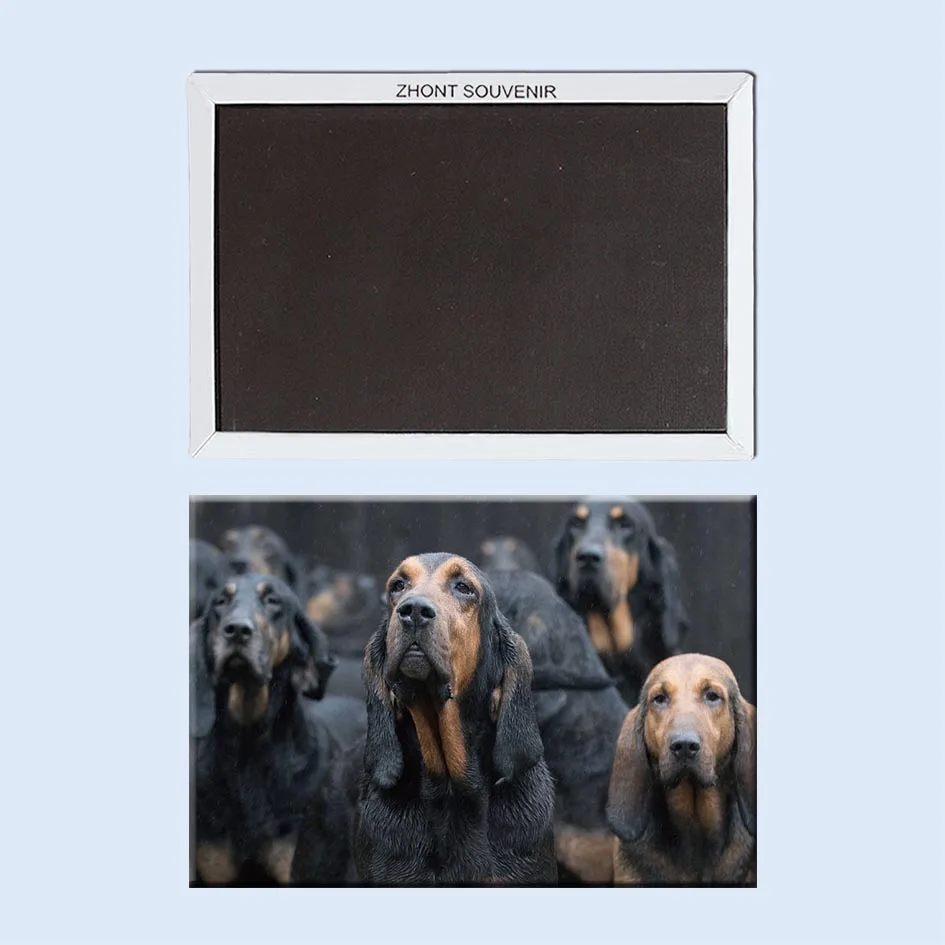 

Pet Dog Fridge Magnets Souvenir 21782