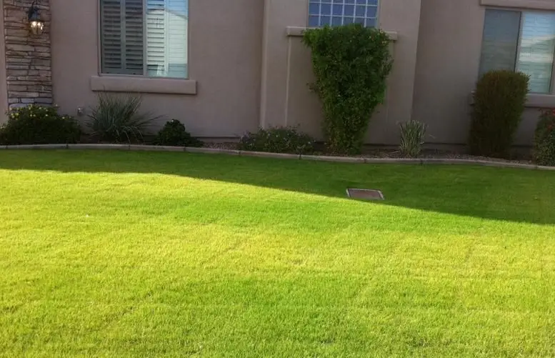 UDGC-90 자동 잔디 절단기/필드/알팔파/잔디 깎는 기계