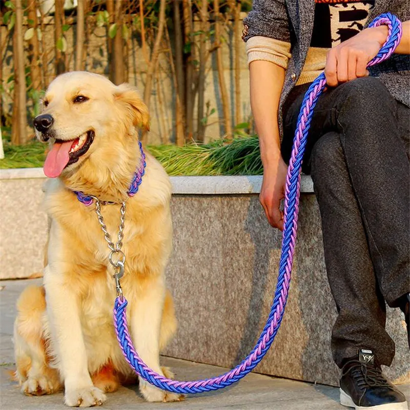 Double Strand Rope Large Dog Leashes Metal P Chain Buckle Contrast Color Pet Traction Rope Collar Set For Big Dogs 1.2m Length