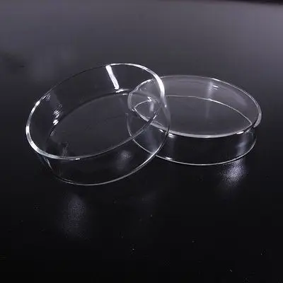 75mm Borosilicate glass Petri culture dish For Chemistry Laboratory Bacterial Yeast