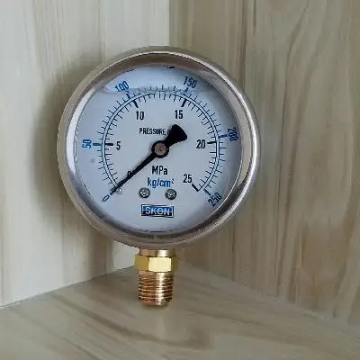 Manômetro com Casca de Manômetro de Vácuo à Prova de Choque Cheio de Óleo Movimento Latão Pt1 Rosca Yn60 25 60 mm Aço Inoxidável