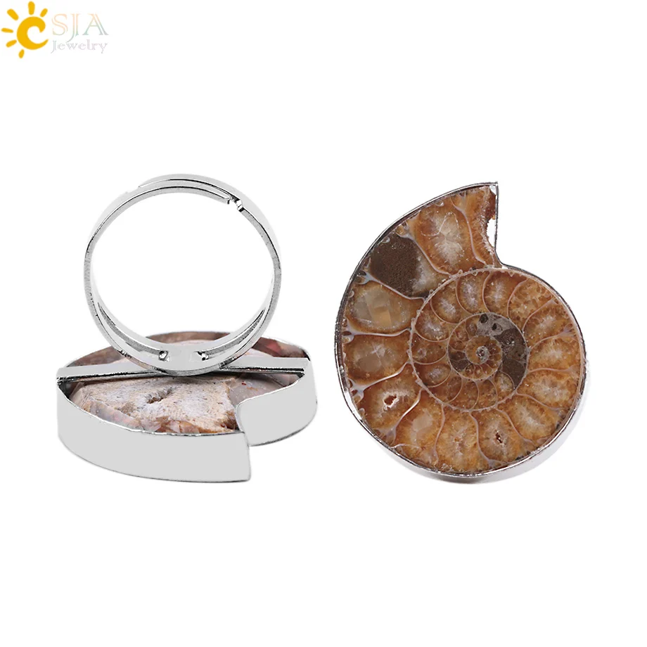 CSJA Resizable Women Men Glossy Real Ammonite Conch Sea Shell Flat Natural FStone Classic Ring for Jewellery Set E251