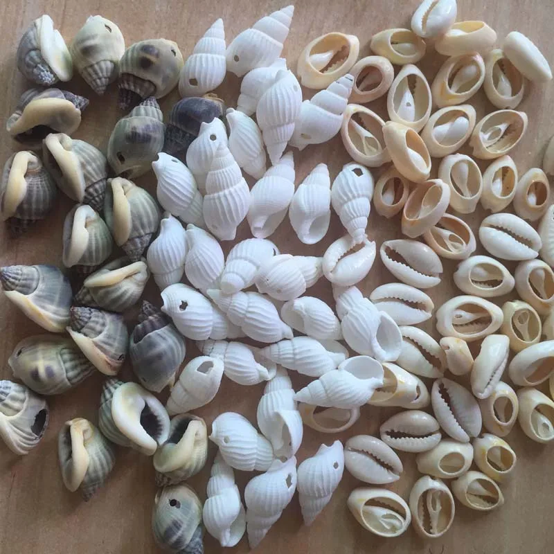 60pcs Mix Different Shape And Size Spiral Shell Beads for DIY Jewelry Making Dyed Cowrie Shells Seashell