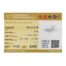 Sterling Silver Paw Print Earrings #5