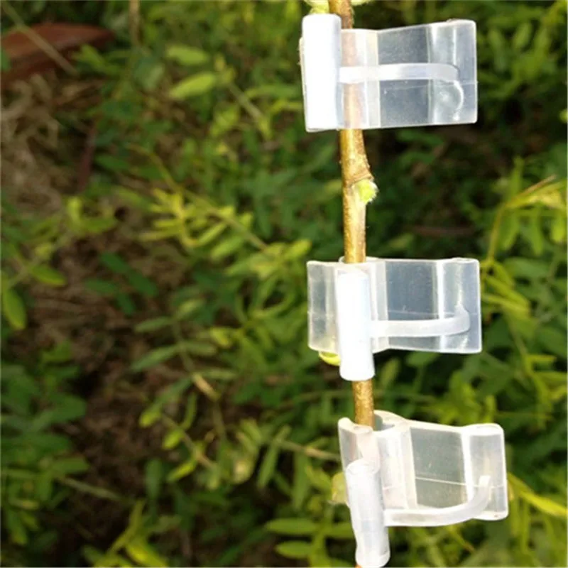 50Pcs-pack Garden Flower Plant Vine Seedlings Grafted Branches Clip Connector Fasteners Plastic Clips Garden Tool GT035