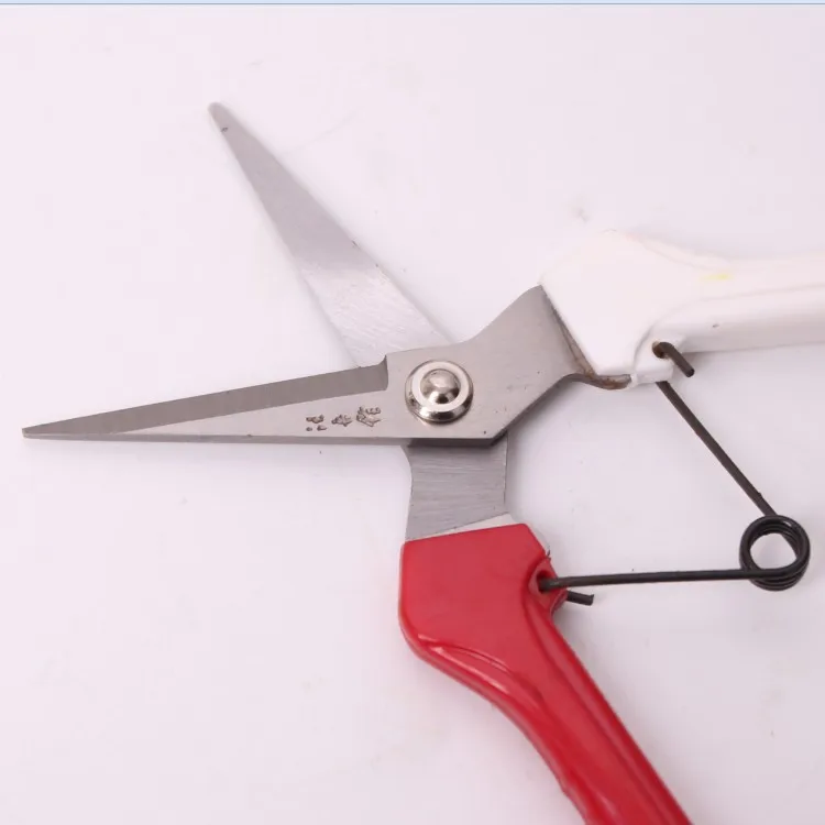 

2pcs lot Wang Wuquan stainless steel horticultural scissors garden scissors 2104-B fruit harvesting scissors pruning shears