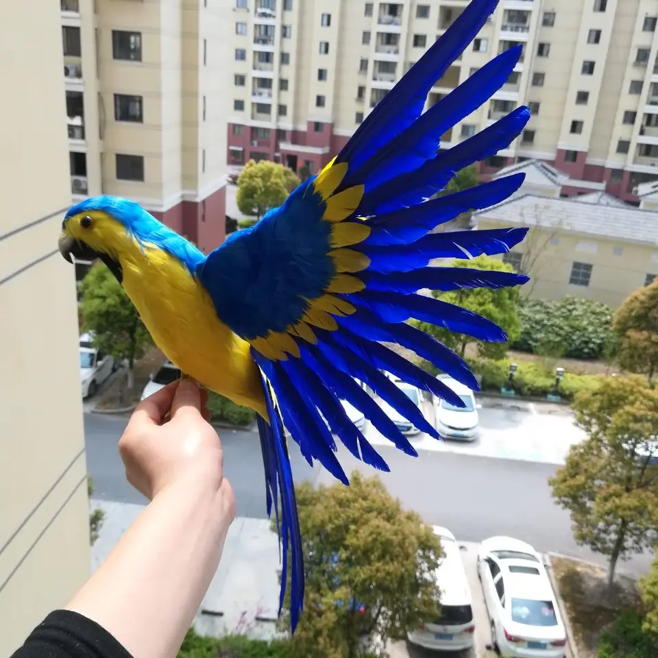 real life toy yellow-blue parrot,Handmade model,foam&feathers spreading wings parrot large 42x60cm ,garden decoration toy w0777