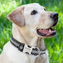 Personalized Reflective Dog Collar #5