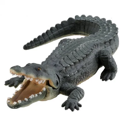 Animal Model Simulating Nile Crocodile Toys Children's Cognitive Wildlife Unisex Animals Plastic Hot Sale 2021