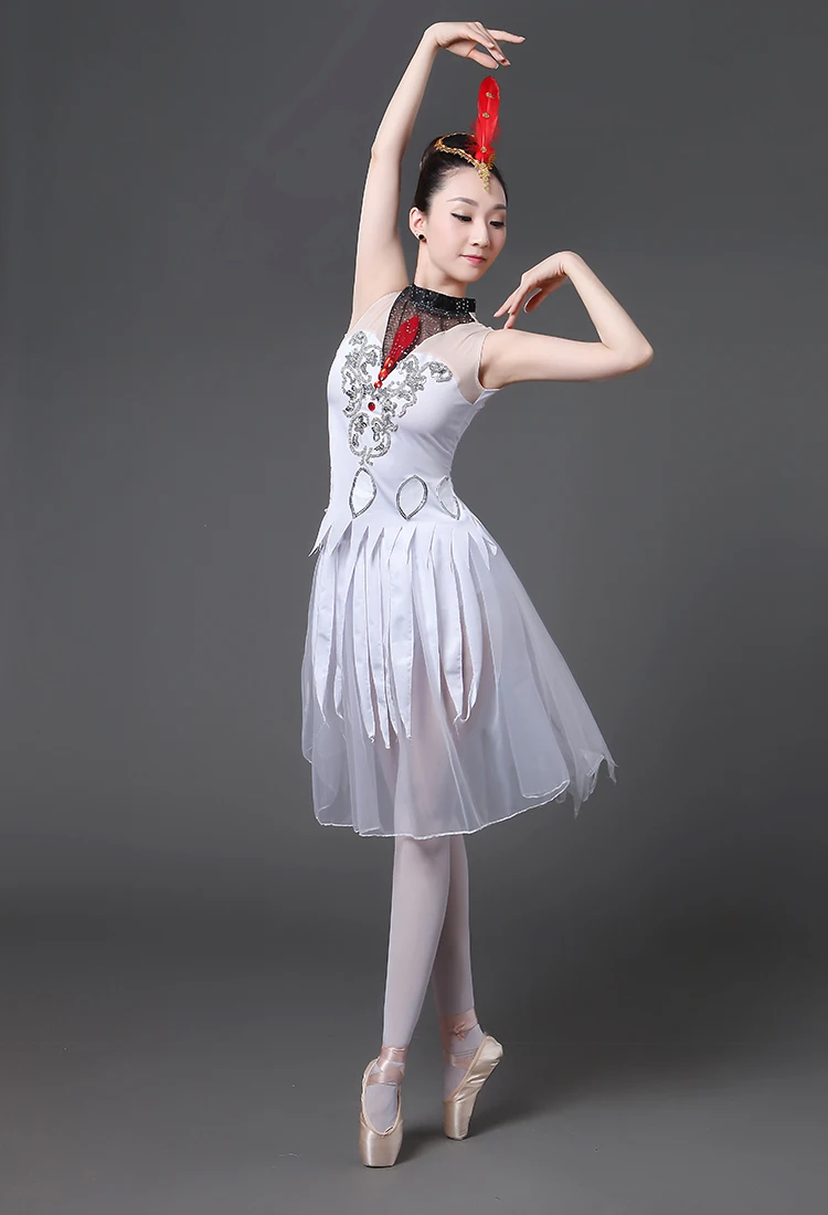 adult-female-ballet-costume-dance-dress-swan-lake-tutu-long-skirts-gym-clothes-for-girls-contemporary-dance-costumes