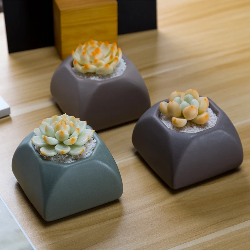 Set of 3 Matte Glaze Ceramic Succulent Plant Pots Bonsai Planter Flowerpots Cactus Geometric Container