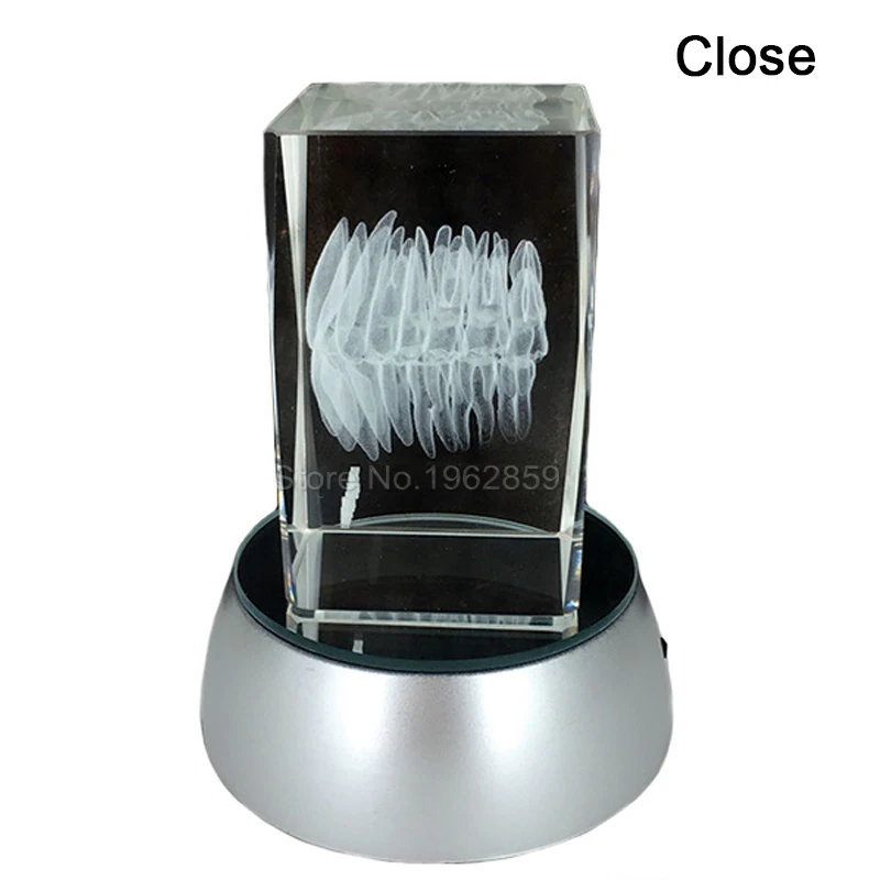 Dental 3D Tooth Model Clear Crystal Stand With LED Lamp Character Teeth Colorful Child Oral Souvenir Gift Decorarion