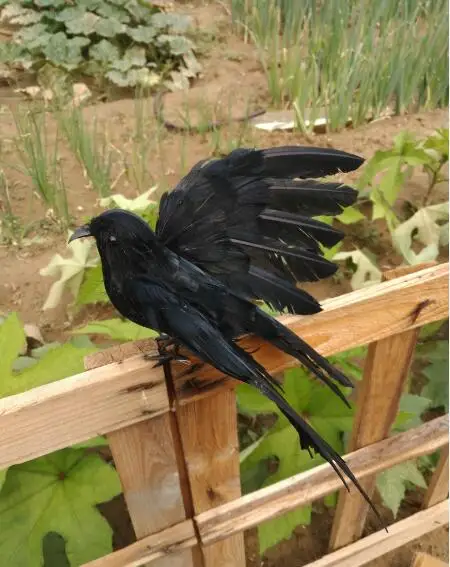 about 22x30cm black feathers crow spreading wings artificial bird model handicraft prop,home garden decoration gift p2120