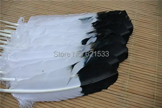 100pcs/lot! 12-14inch (30-35cm) white with black top Turkey Rounds Quill Wholesale Feathers,Turkey  Quills,