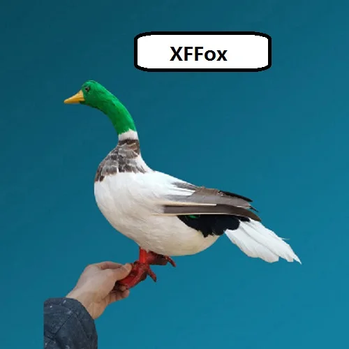 big simulation green head duck model foam&furs real life duck bird model gift about 50cm xf1058