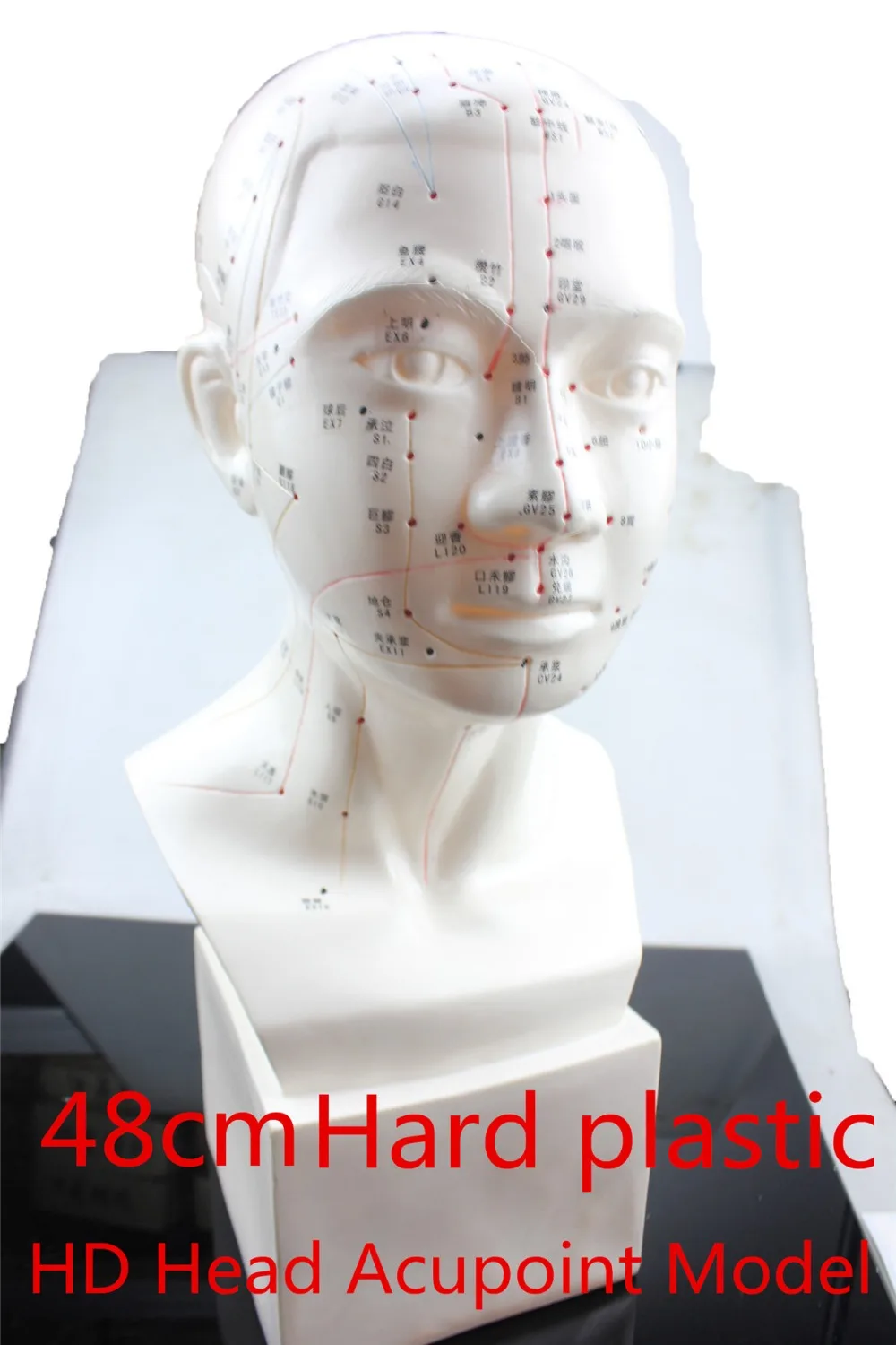 

HD Head acupuncture model 48cm high definition face Facial Acupoint Acupuncture point model Head acupuncture teaching Hard model