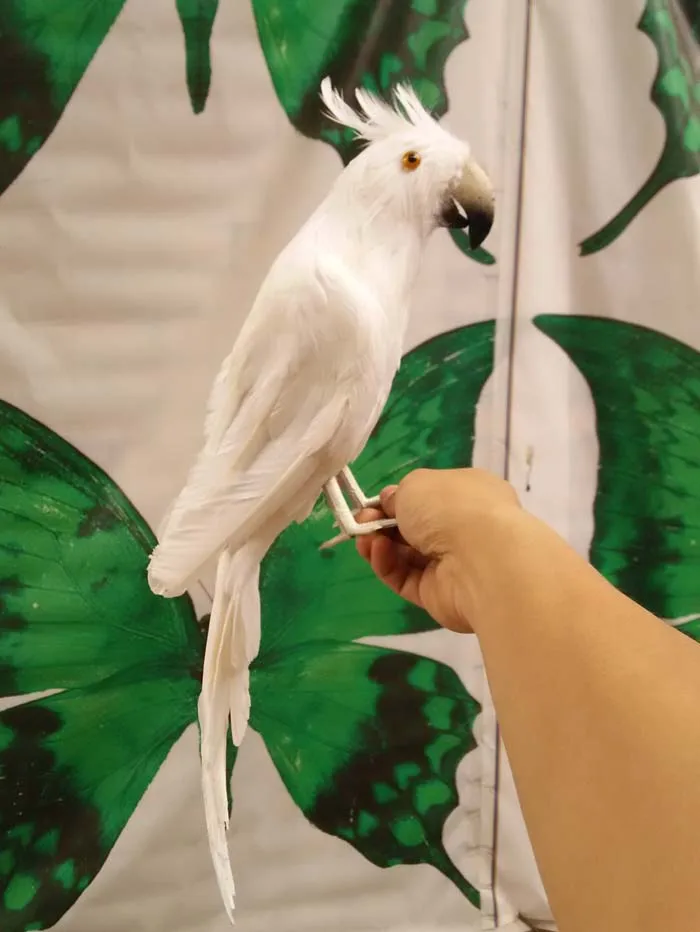 lovely simulation parrot toy polyethylene & furs white parrot model gift about 40cm 1921
