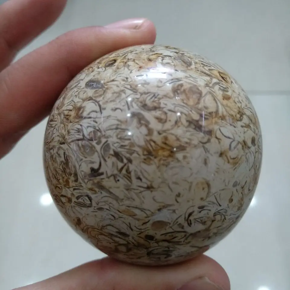 5-6cm Awesome! Dinosaur Bone Fossil Crystal Ball Sphere Madagascar