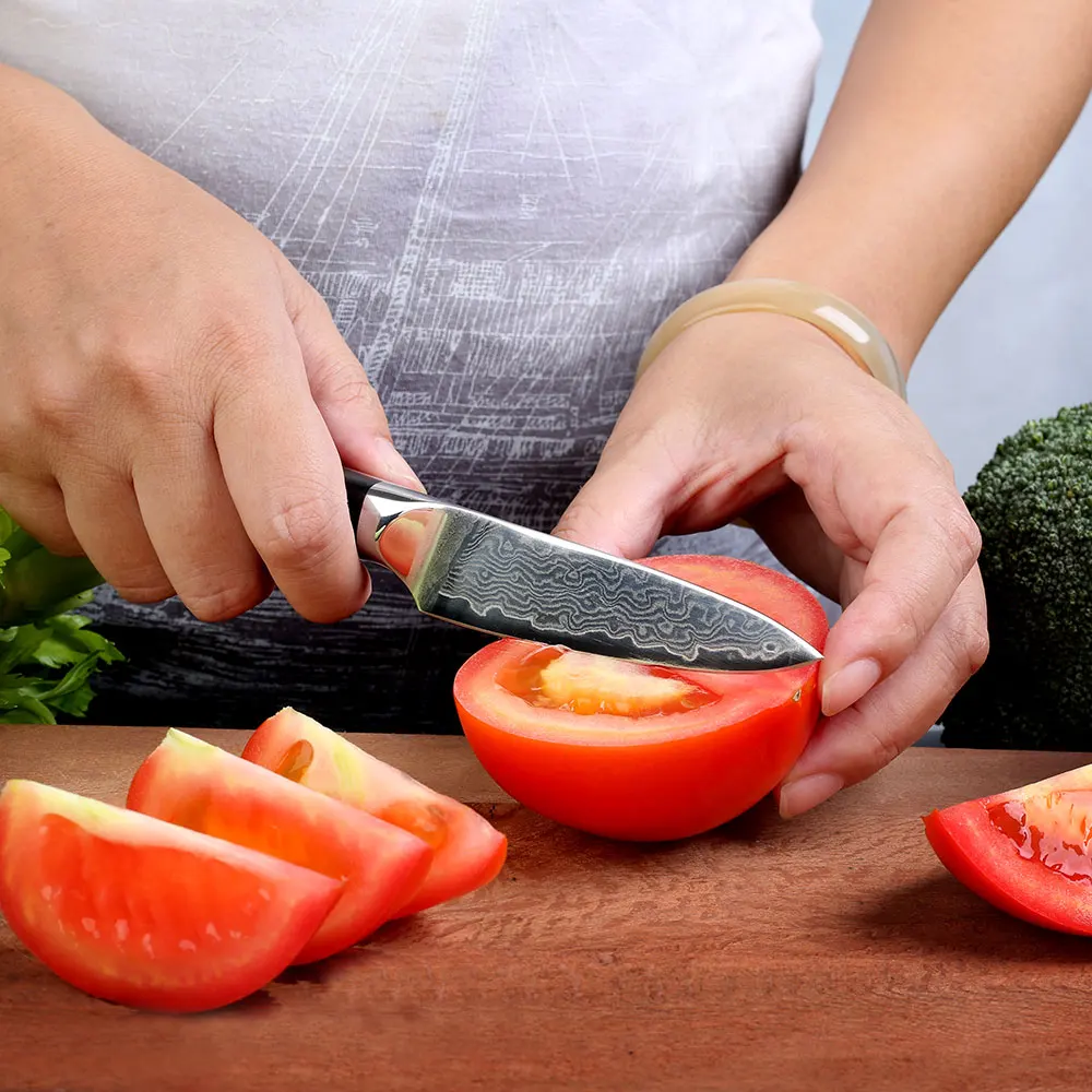 Imagem -02 - Sunnecko-facas de Cozinha de Aço Damasco Japonês Vg10 Lâmina de Navalha Afiada G10 Punho Descascando Faca de Corte de Frutas 3.5