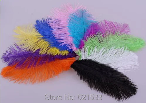 

Hot!DIY decoration 200pcs/lot beautiful natural multicolor ostrich feathers 8-10inch/20-25cm wedding decoration freeshipping