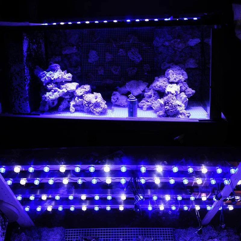 1pcs/lot Epistar 3w led chips bulb diode lamp 3000k 6000k 10000k 440nm 620nm 660nm for aquarium led light led grow light