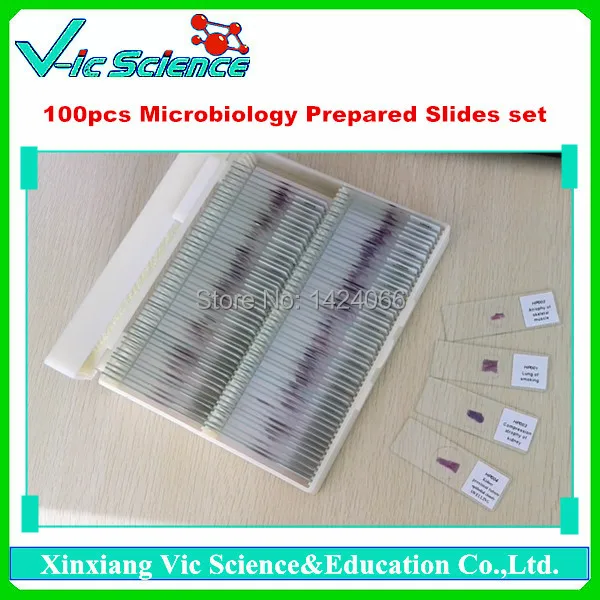 

100pcs Microbiology Bacteria and fungi Prepared Slides set