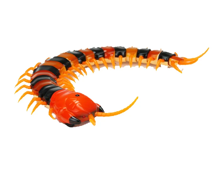 Hàng Mới Về IR RC Scolopendra Simulative Điều Khiển Từ Xa Động Vật Điện Đồ Chơi Ngộ Nghĩnh Mới Lạ Đáng Sợ Giáng Sinh Trẻ Em Quà Tặng