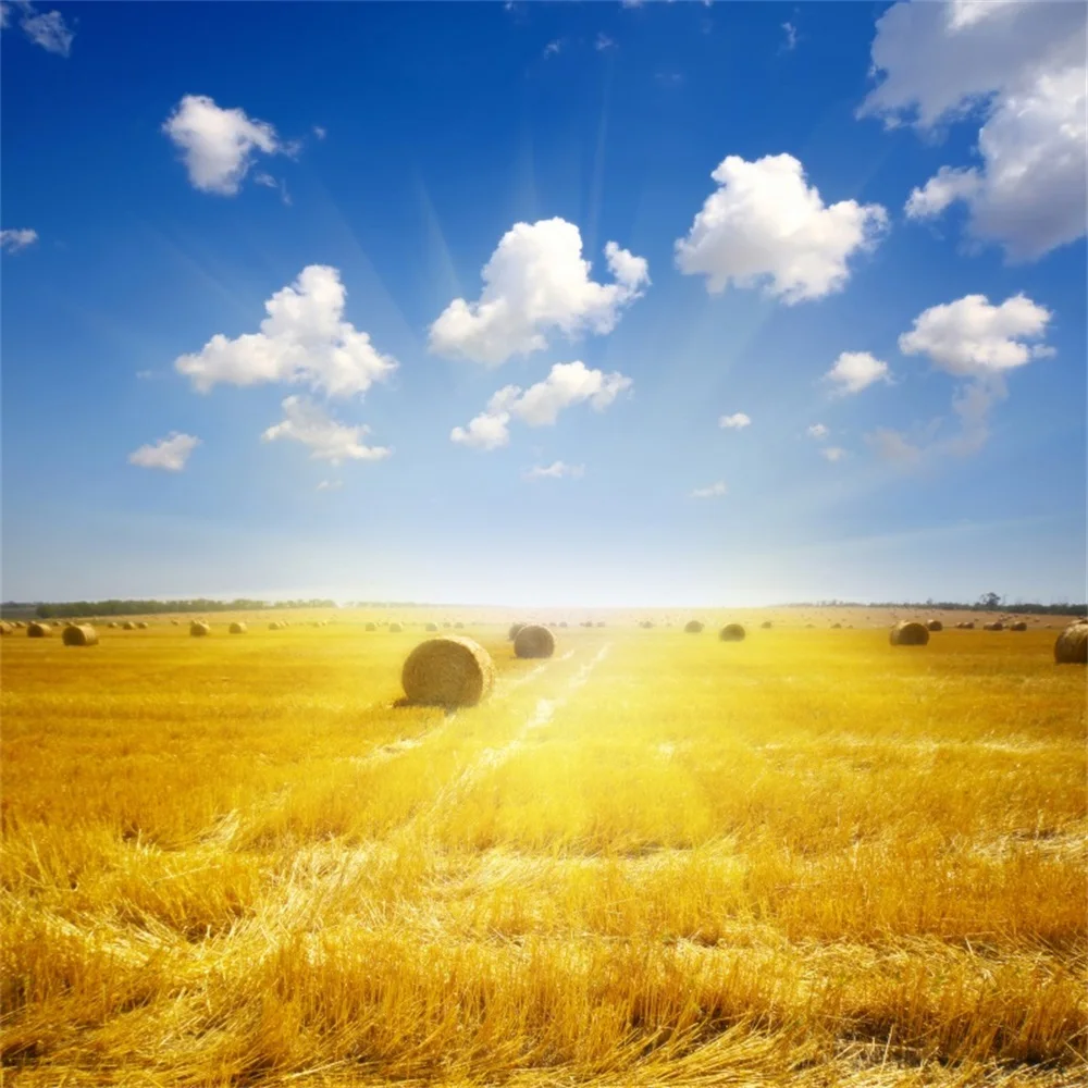 Laeacco Autumn Farm Field Hay Rolls Photography Backgrounds Blue Sky Scenic Mountain Plants Photographic Backdrops Photo Studio