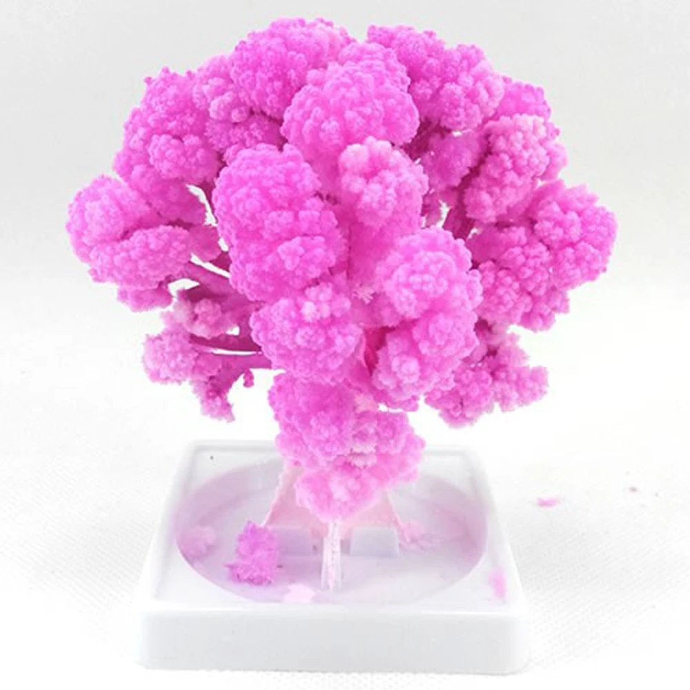 

2PCS 2020 9Hx8Wcm Visual Artificial Paper Sakura Trees Magic Growing Tree Japan Desktop Cherry Blossom Toys For Children Novelty