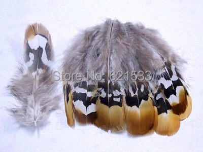 100pcs/lot!5-8cm Real Natural Reeves Pheasant Yellow Feathers  Exotic Craft feathers earrings crafts