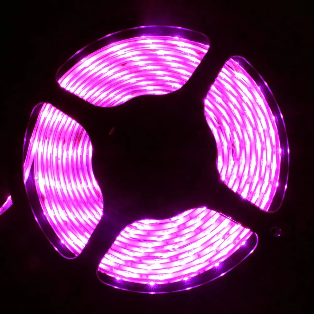 Led Strip Light 5050 Pink Color 300led 5M Waterproof IP65 Non Waterproof IP20 12V Flexible SMD Tape Rope