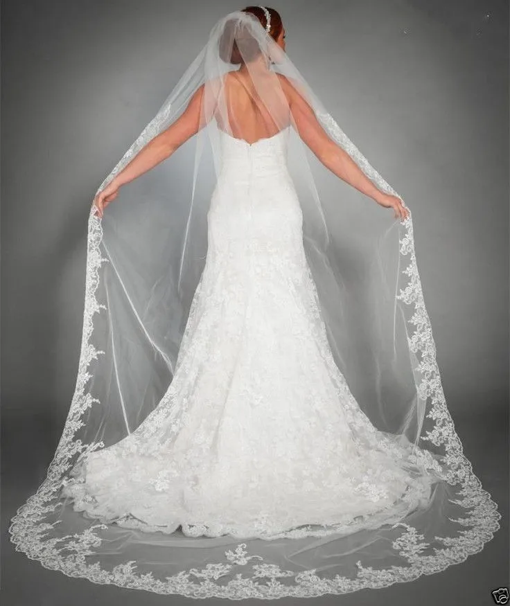 Lace Appliques Top Grass 280cm Long Tail One-Layer Lace Edge Long Train Beautiful Bridal Veil For Wedding Dress