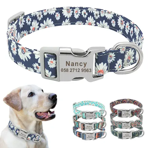Personalized Floral Dog Collar Beirui