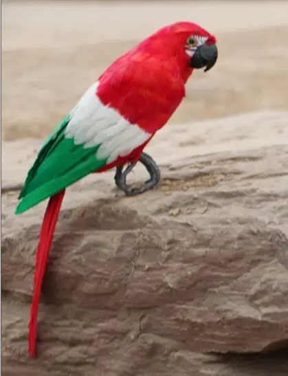 big simulation parrot model foam&furs red-white-green parrot bird toy gift about 48cm 3017