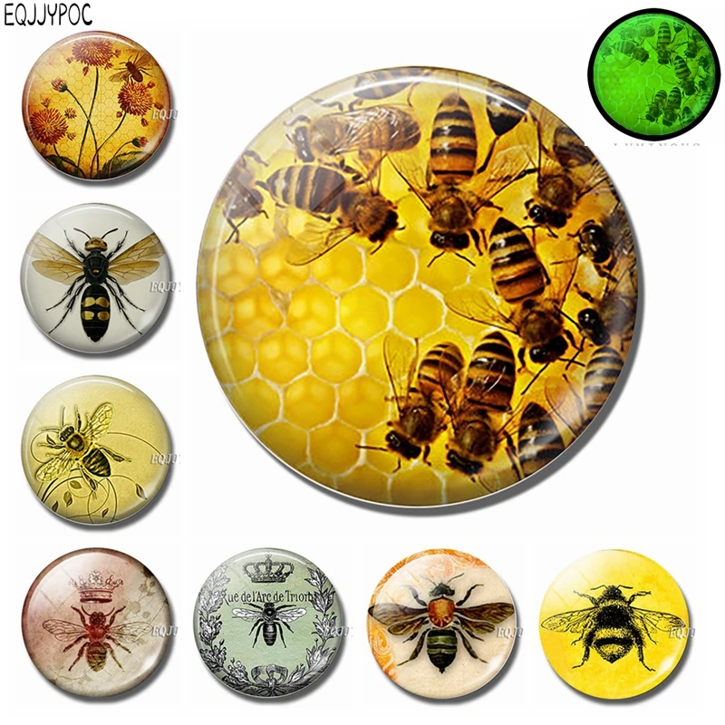 Removable Magnetic Stickers for Fridge 3D Bee Animal Glass Dome, Glowing at Night Decorative Refrigerator Honeybee 30 mm