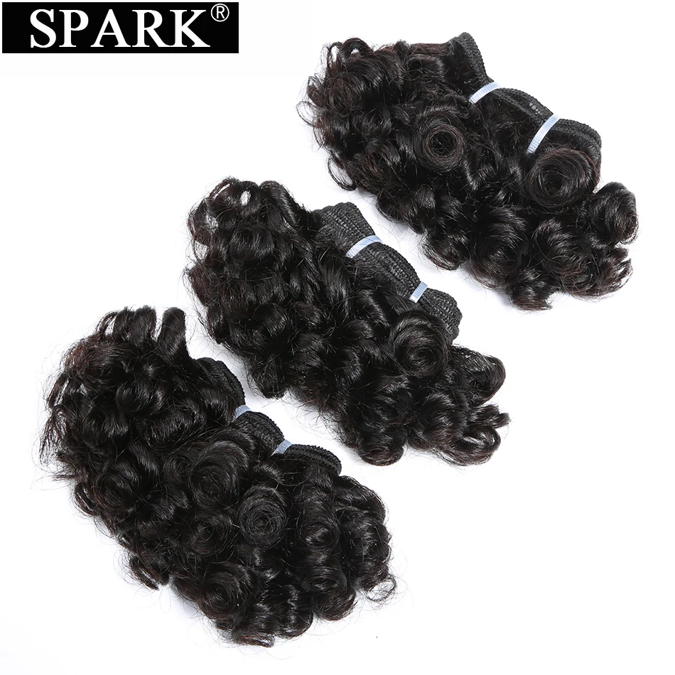 Spark Peruvian Bouncy Curly Hair Bundles 3/6/9pcs 6inch Short Length Remy Human Hair Bundles 6PCS Can Make a Wig Double Drown