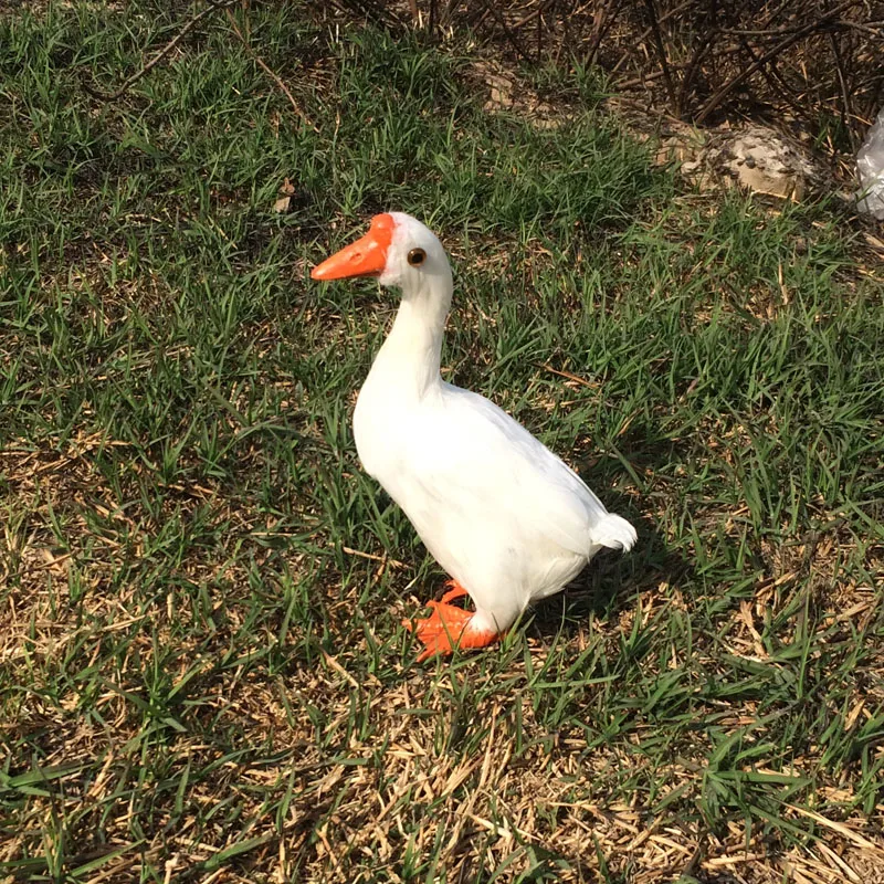 plastic foam & furs feathers white goose 20x15 cm goose toy Handmade model toy,farm , home decoration gift w5541