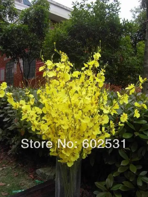 

SPR HOT WEDDING FLOWER vine single SPRING orchid flowers mini butterfly orchid (100/lot),4color available FREE SHIPPING