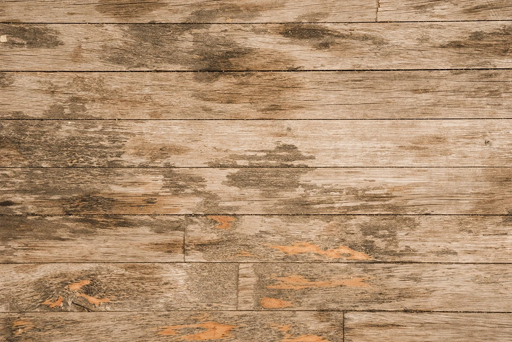 Biopoto-사진 배경, 신생아 사진 스튜디오 부스 갈색 나무 바닥 나무 질감 파티 장식 photocall b160