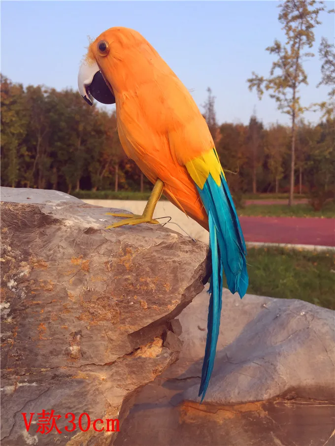 

simulation parrot bird model prop about 30cm polyethylene&orange-blue feathers parrot home garden decoration gift s2990