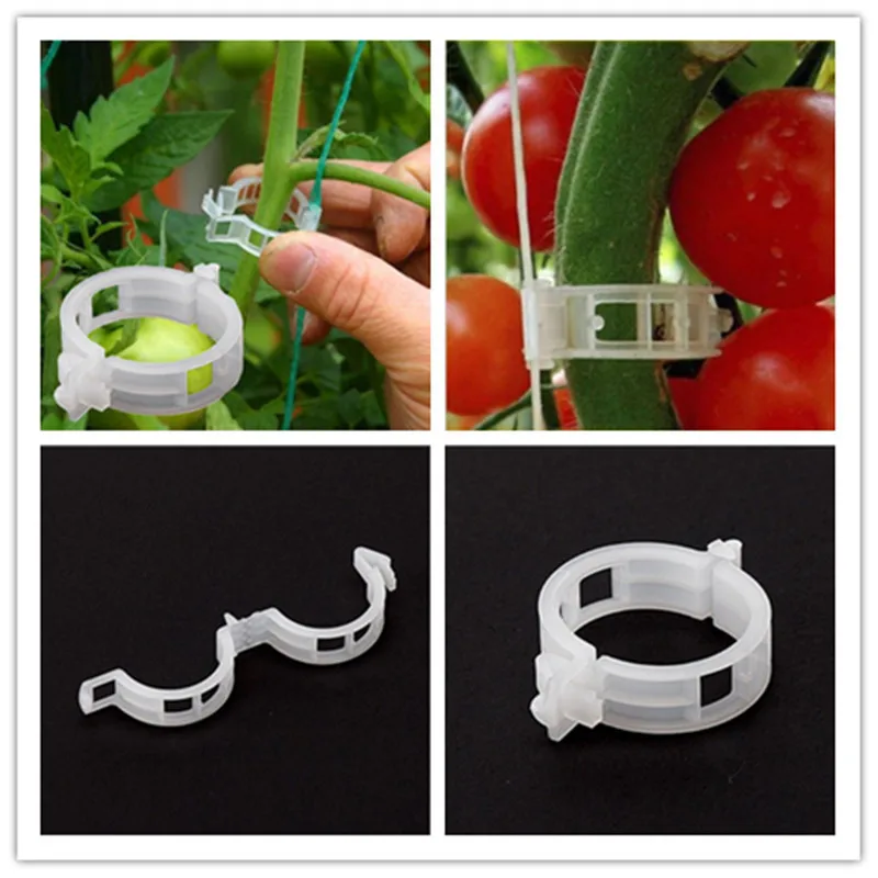 

50pcs/set Plant Clips Hanging Support Vine/Branch/Root/Twine/Cage Plant Fixer Tomato Clips Greenhouse Vegetables Garden Ornament