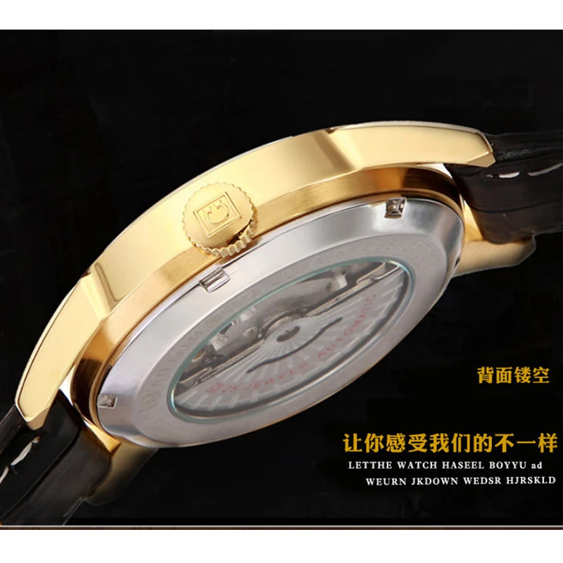 Switzerland CARNIVAL Brand Luxury  Automatic Mechanical Men‘s Watches Sapphire Waterproof Dual CalendarlockClock C8646G-2