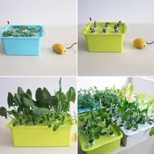 Hydroponic Plant Growing System 6 Holes #6