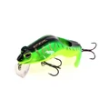 005
